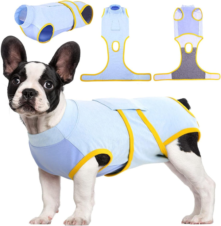 Injury protection recovery suit: a soft, secure solution for dogs & cats after surgery.