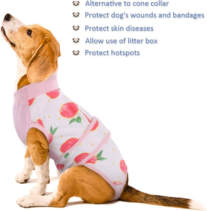 Post-surgery petwear: comfortable recovery suit for dog & cat wound protection.