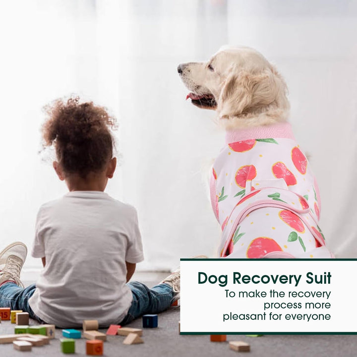 Durable pet recovery suit: secure, breathable clothing for dog & cat post-op wound care.