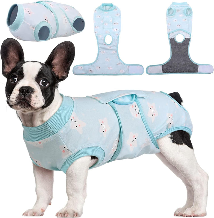 Dog recovery suit: comfortable post-operative clothing for wound protection & surgical recovery.