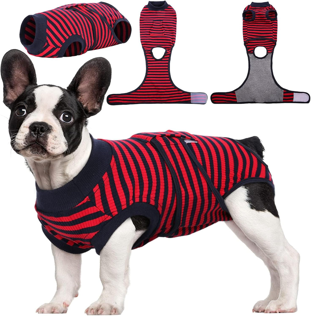 Cat recovery suit: vet recommended soft petwear for post-surgery healing & injury protection.
