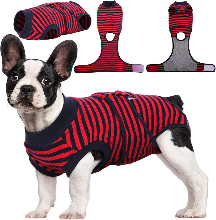 Cat recovery suit: vet recommended soft petwear for post-surgery healing & injury protection.