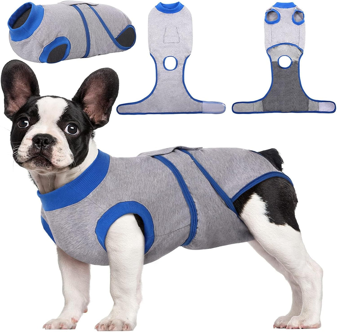 Surgical recovery suit for pets: secure wound protection for dogs & cats post-surgery.