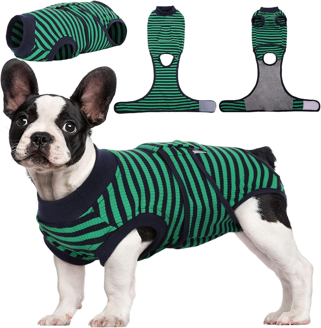 Breathable pet recovery suit: essential animal care for dogs & cats during healing after surgery.