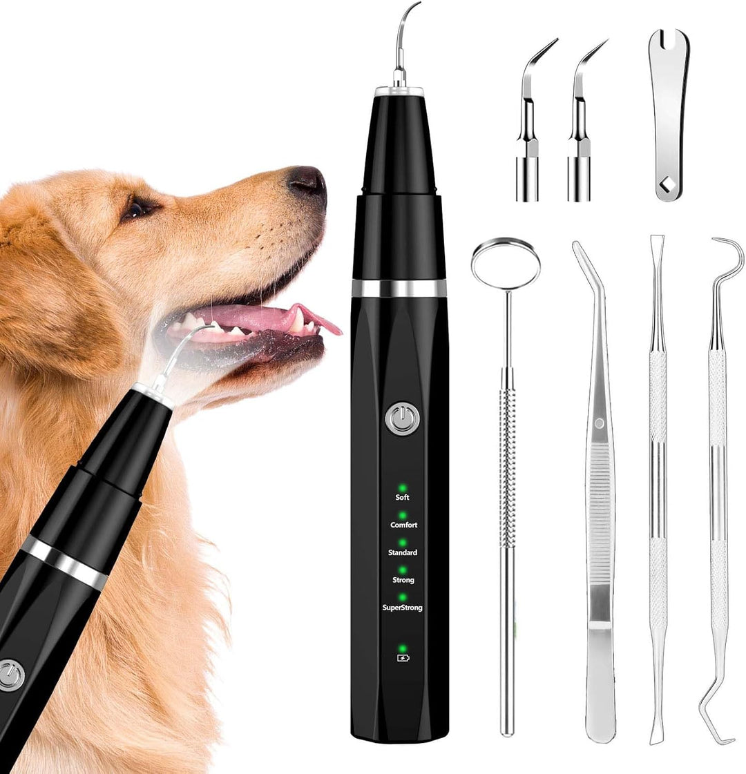 Pet's Ultrasonic Plaque Remover for gentle home oral care, effectively cleaning dog and cat teeth.