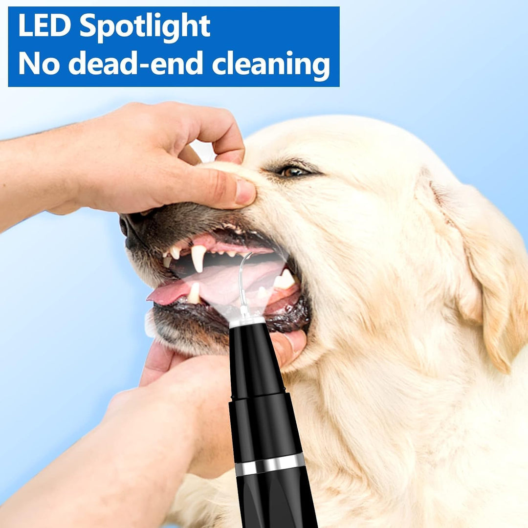 Easy-to-use ultrasonic pet tooth cleaner for dogs and cats, delivering professional-grade home plaque and tartar removal.