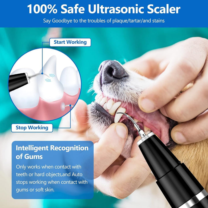 Gentle ultrasonic dog tooth cleaner and cat dental plaque remover, for effective and safe at-home oral care.