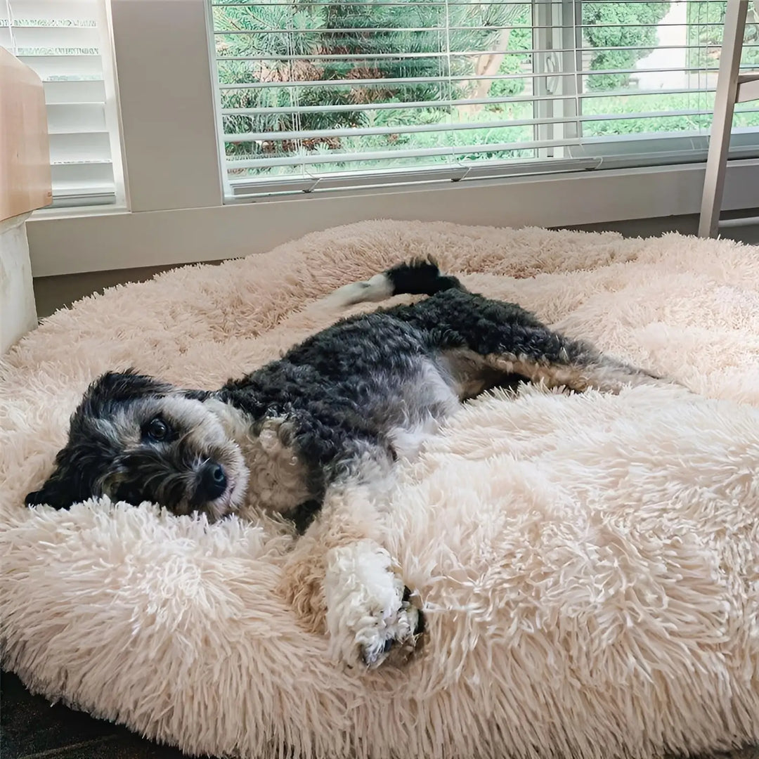"Plush luxury dog bed for anxiety relief in apricot color, round with raised rim, available in multiple sizes."