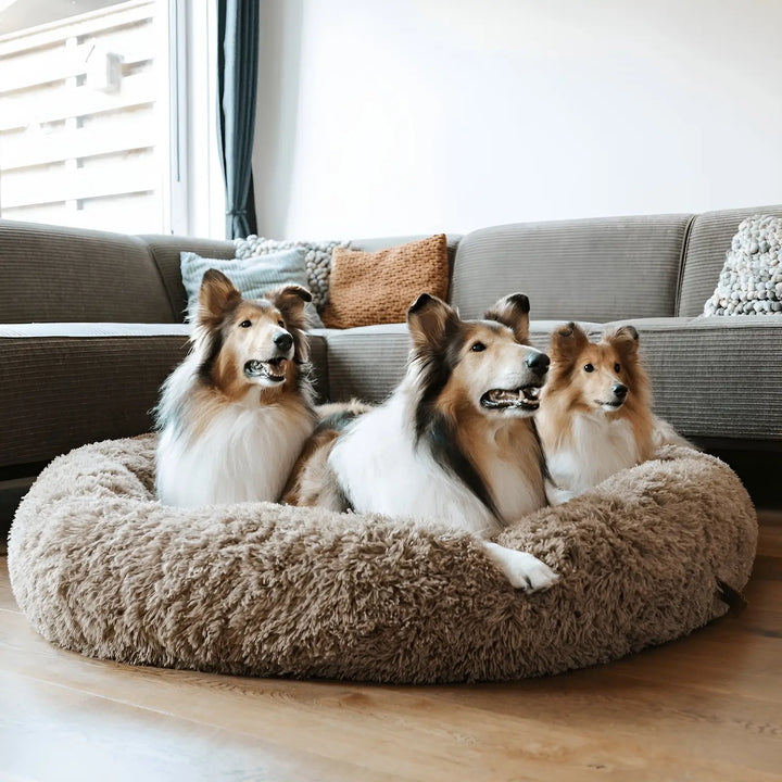 "Plush luxury dog bed for anxiety relief in apricot color, round with raised rim, available in multiple sizes."