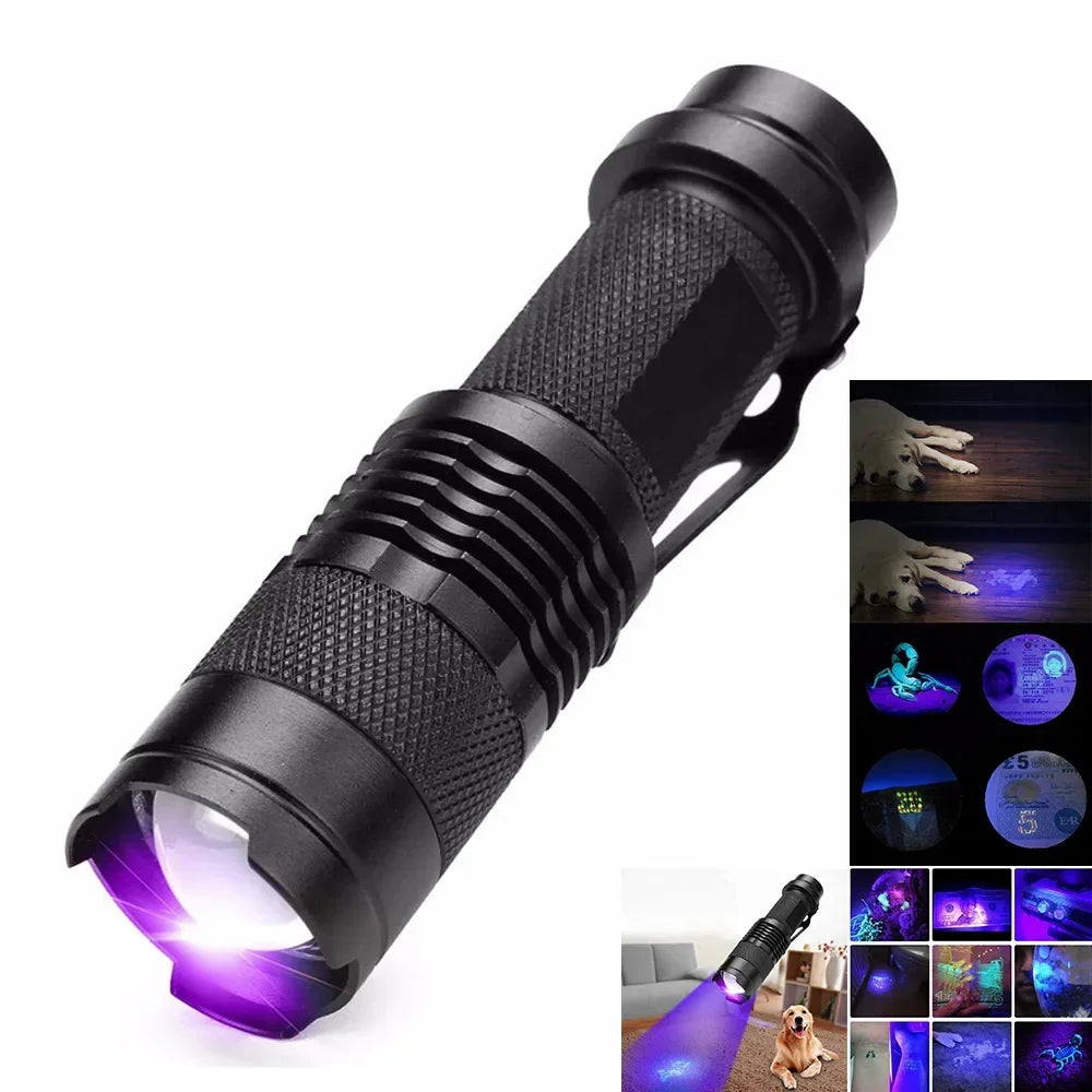 Powerful LED UV flashlight for detecting pet urine stains on carpets & floors.