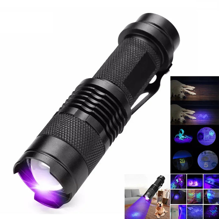 Powerful LED UV flashlight for detecting pet urine stains on carpets & floors.