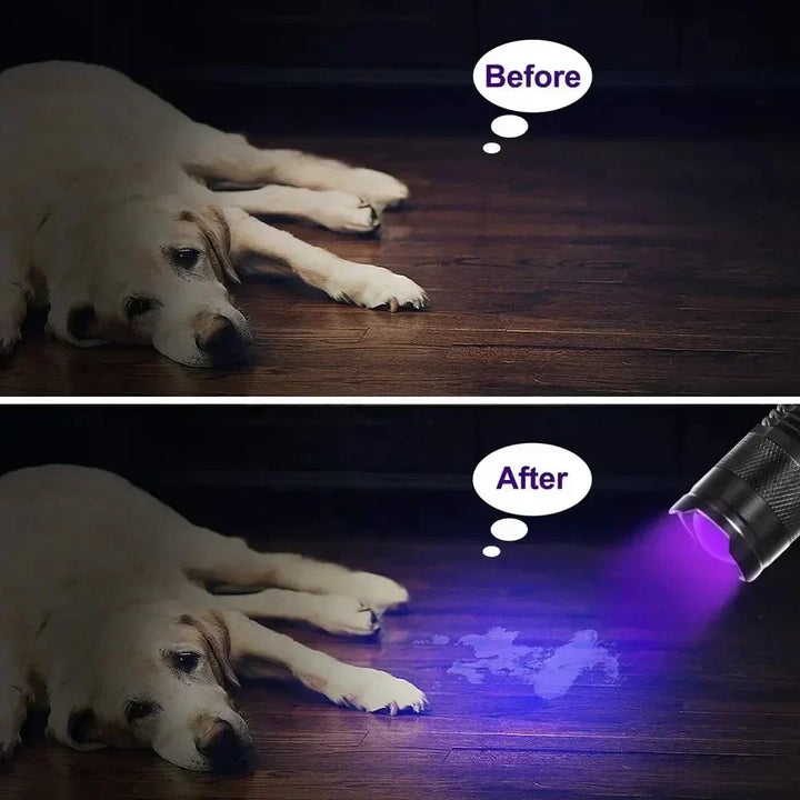 Compact UV inspection lamp to quickly locate dried pet urine & other hidden stains.