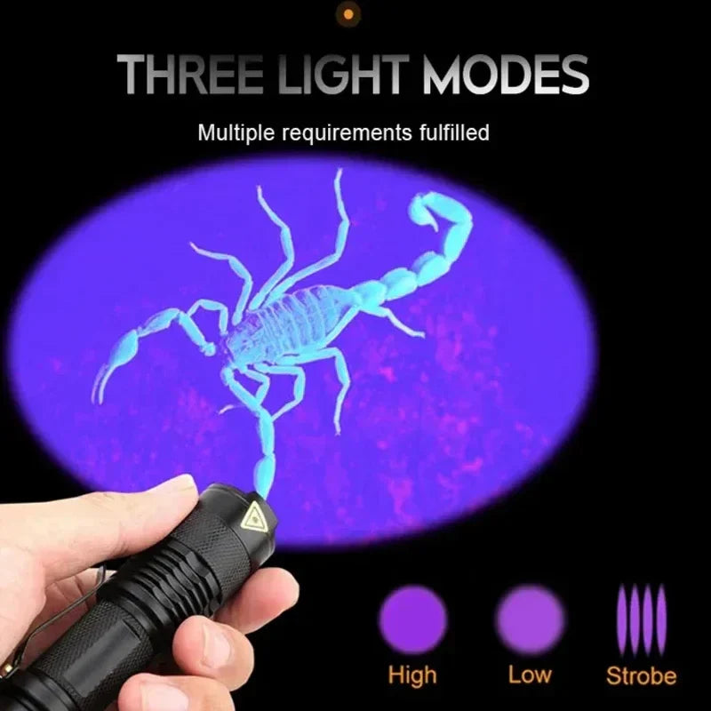 Handheld black light for finding pet stains, a powerful tool for deep cleaning.