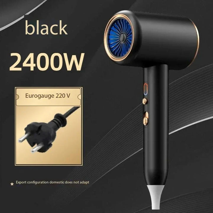 Fast drying, frizz control: 2400W professional hair dryer with negative ion technology.