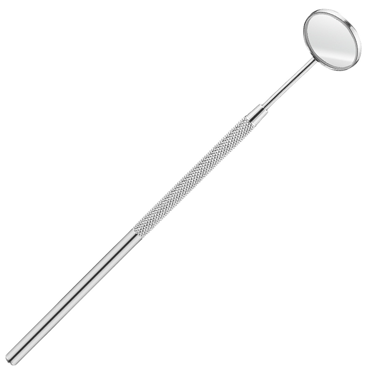 Home dentistry tool: durable stainless steel dental explorer and plaque removal scraper.
