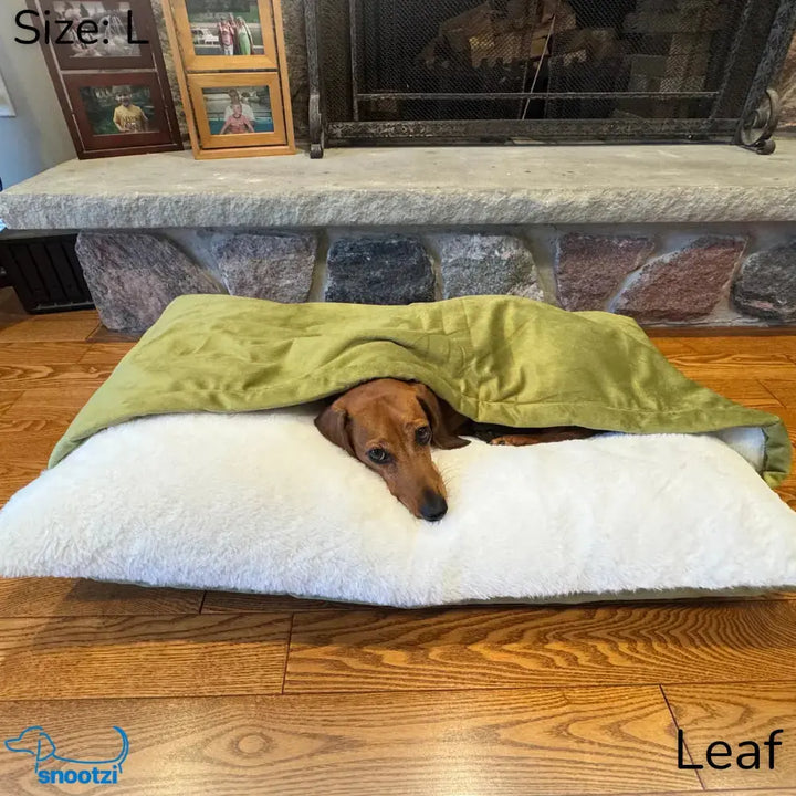 CuddleNest dog lounger with integrated comfort wrap, a soft & cozy pet bed for burrowing & ultimate relaxation.