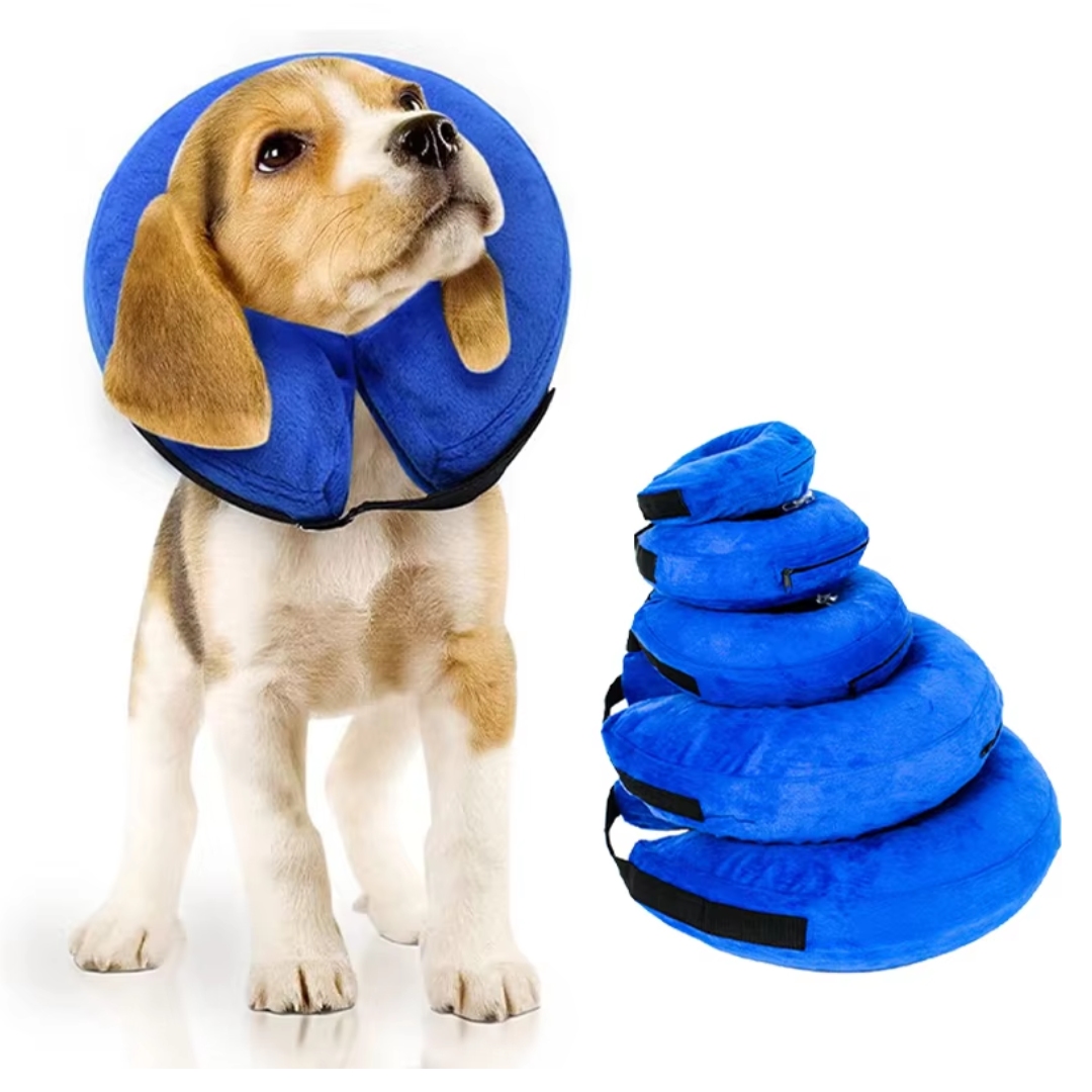 Soft inflatable dog recovery collar, a comfortable post-surgery cone alternative for wound protection.