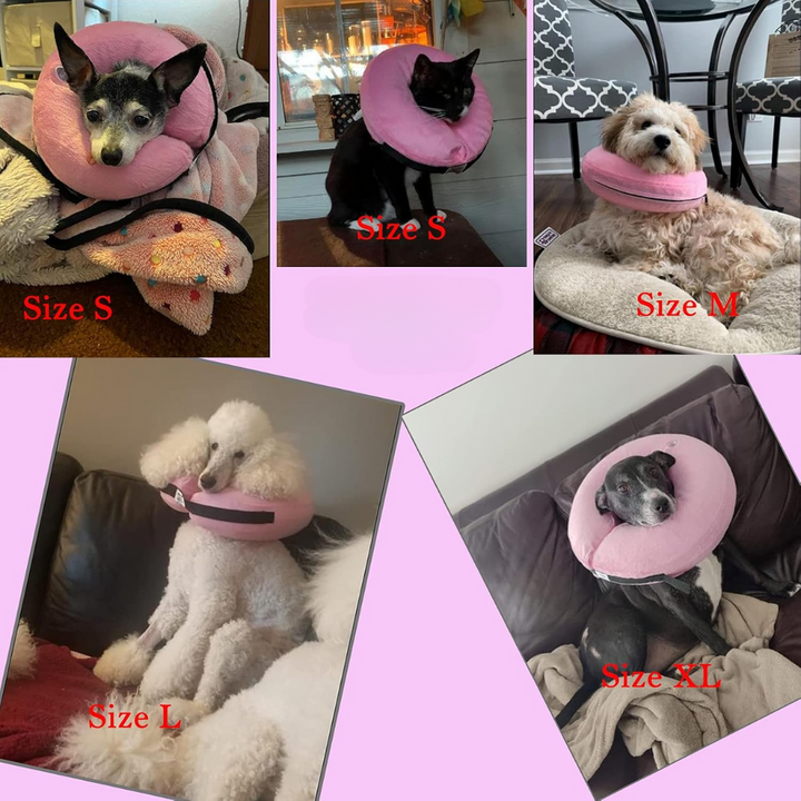 Lightweight inflatable dog cone alternative, soft and protective pet collar for quick recovery.