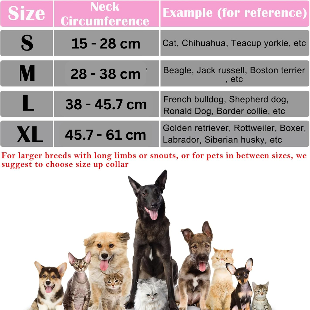 Dog's inflatable recovery collar, a soft and adjustable protective cone alternative for all sizes.