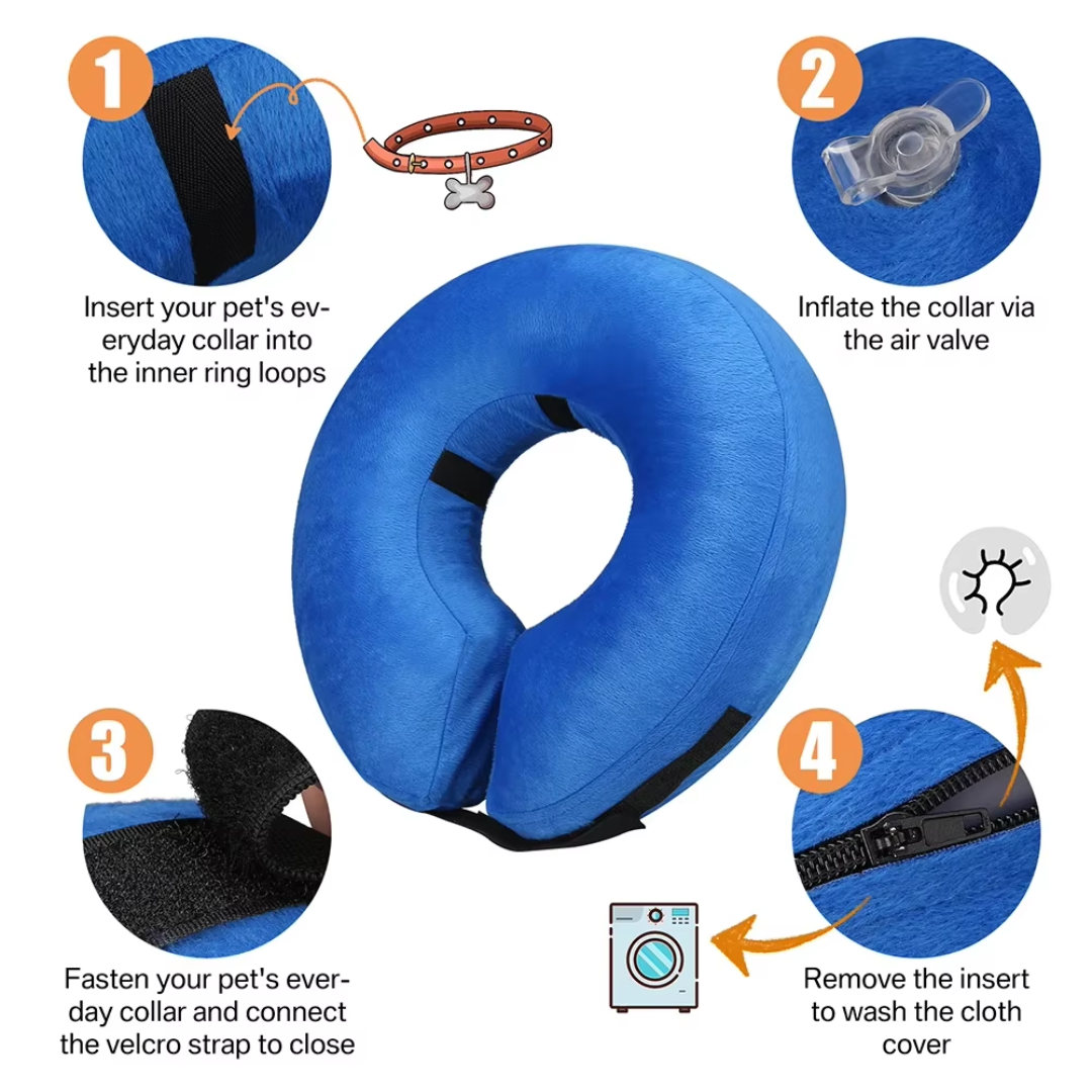 Happy dog wearing a soft inflatable recovery collar, comfortable alternative to stiff cones post-surgery.