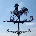 Rooster