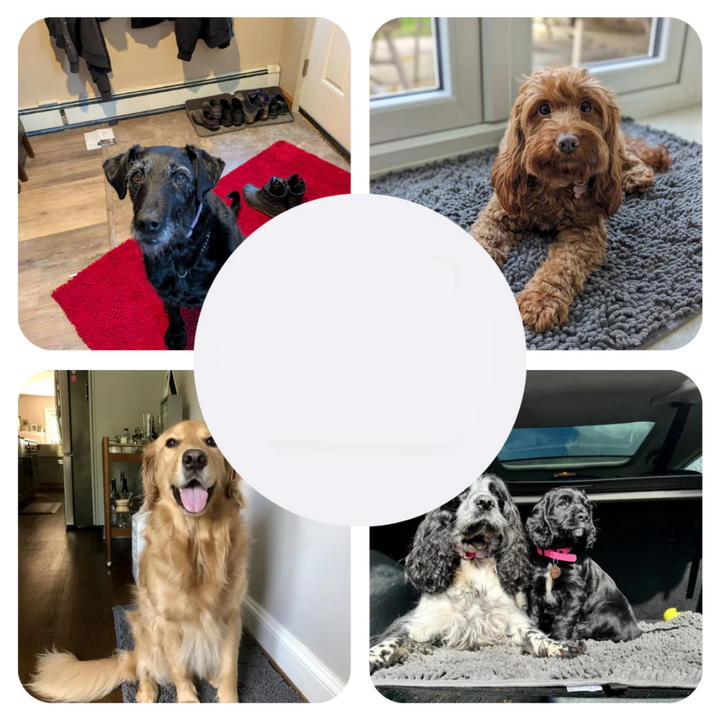 Non-slip, super absorbent pet mat protects floors from mud & water. Washable chenille dog mat for wet paws.