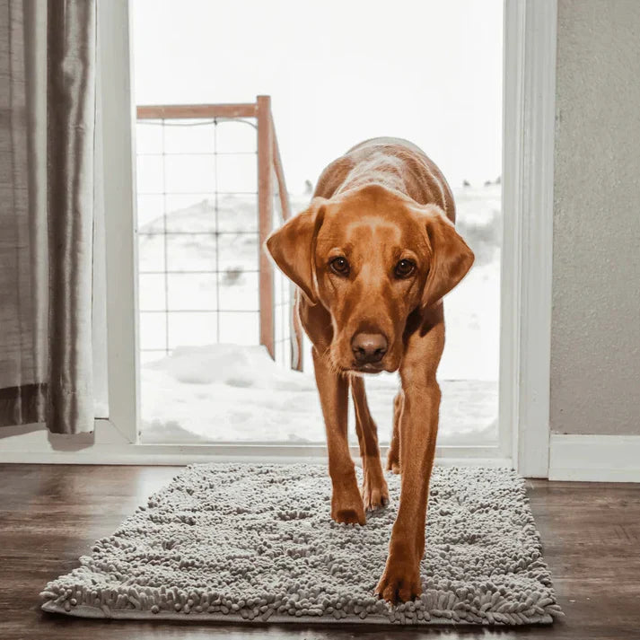 Chenille absorbent dog mat, a paw cleaner & floor protector. Ideal mud mat for pets to keep homes tidy.