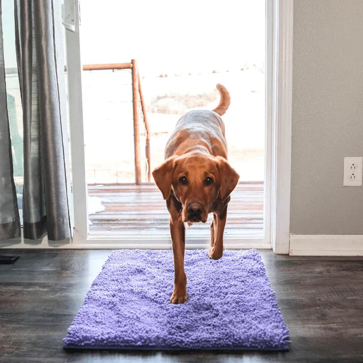 Soft chenille dog mat, an absorbent floor protector & paw cleaner. Non-slip pet mat for busy entryways.