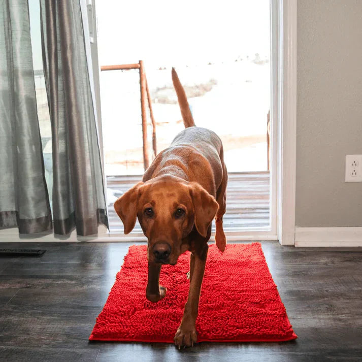 Pet mat for dogs, ultra-absorbent for wet paws & muddy prints. Washable, non-slip floor protector.