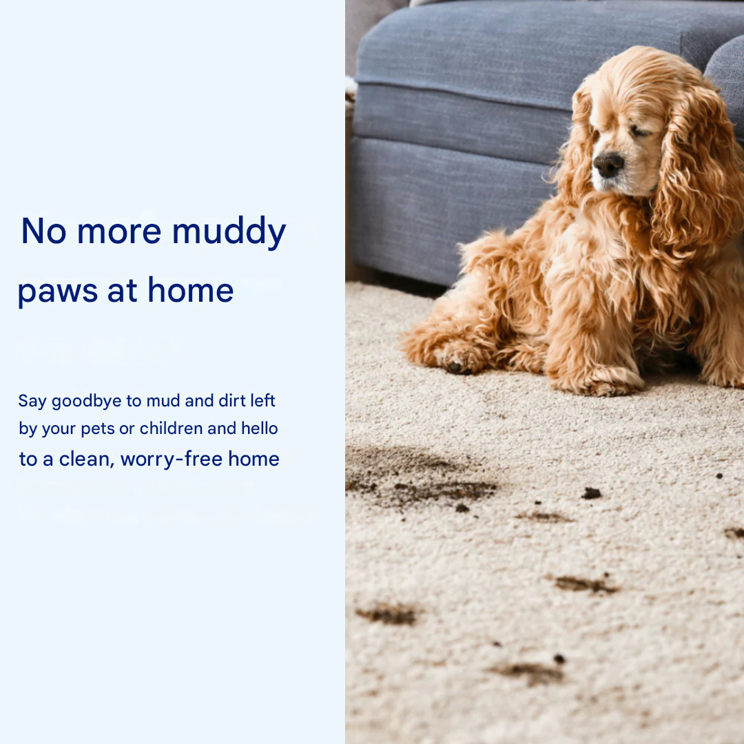 Keep floors dry with this absorbent dog mat. Ideal for wet paws, a non-slip washable pet accessory & mud mat.