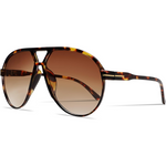 Turtle Gradient Brown