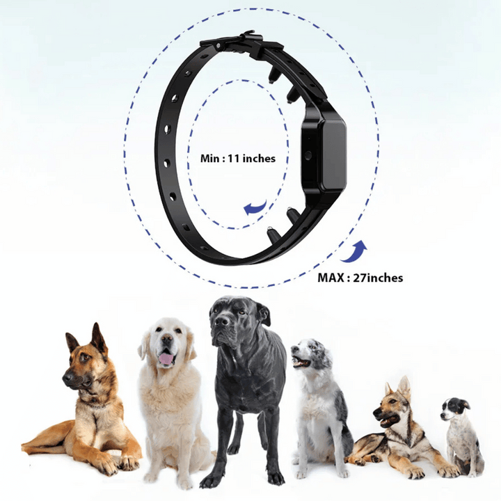 Waterproof shock dog training collar with remote, black adjustable strap, buttons for beep, vibration, safe shock modes.