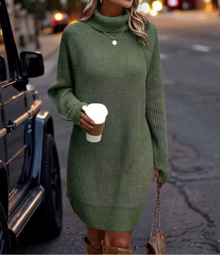 Elegant turtleneck long sleeve knit mini dress. Ideal for casual chic or a stylish night out.